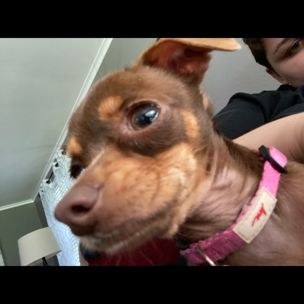 Meet your Posher, Madelyn